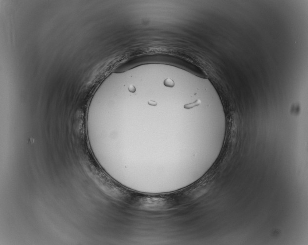 X0000115240361200911201625