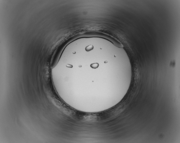 X0000115240362200911201625