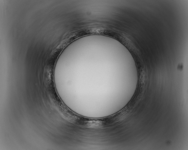 X0000115240363200911201625