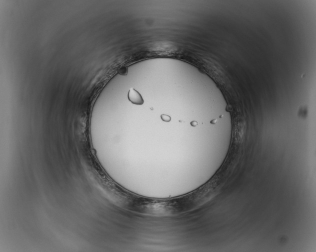 X0000115240365200911201625