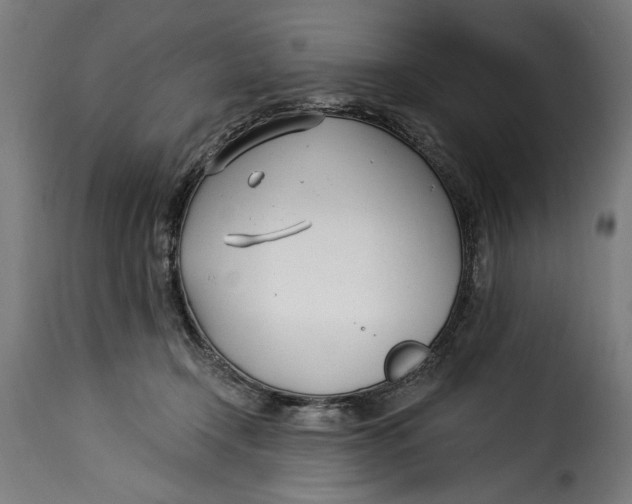 X0000115240366200911201625