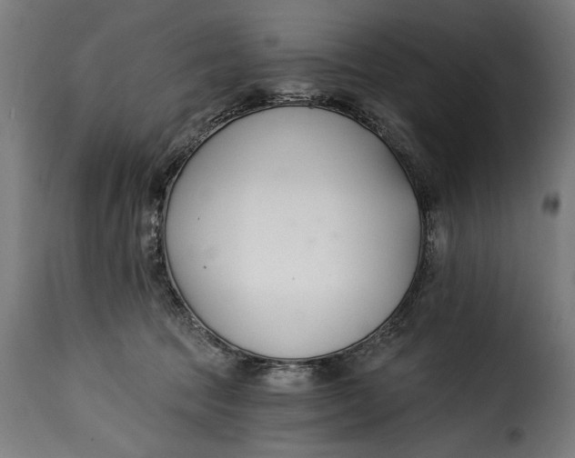 X0000115240369200911201625