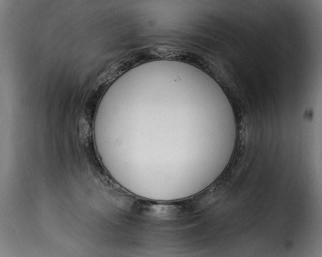 X0000115240371200911201625