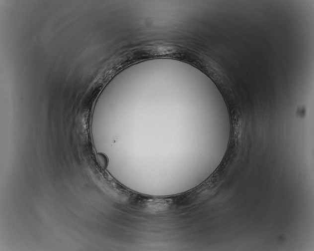 X0000115240373200911201625