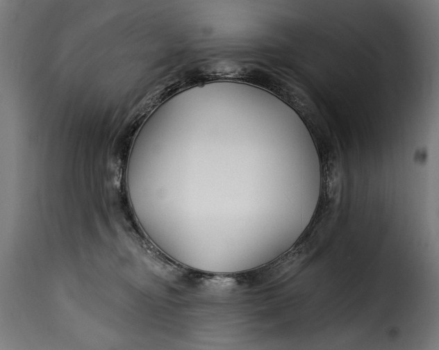 X0000115240374200911201625