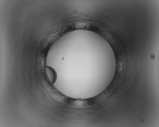 X0000115240375200911201625