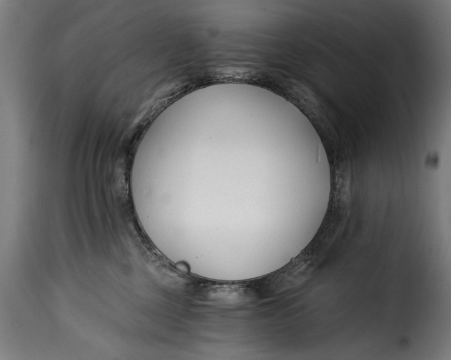 X0000115240377200911201625