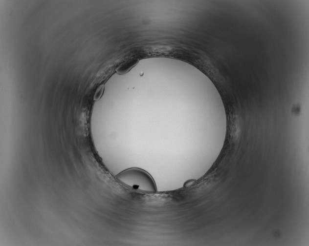 X0000115240378200911201625