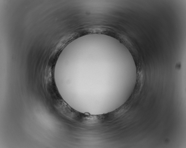 X0000115240381200911201625