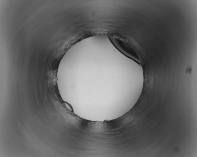 X0000115240383200911201625