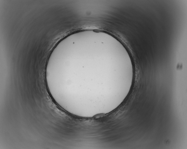 X0000115240385200911201625