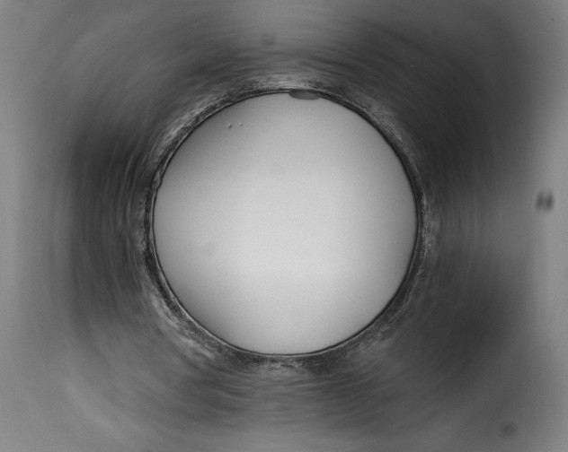 X0000115240386200911201625