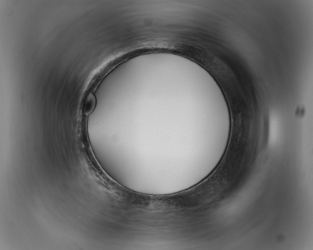 X0000115240388200911201625