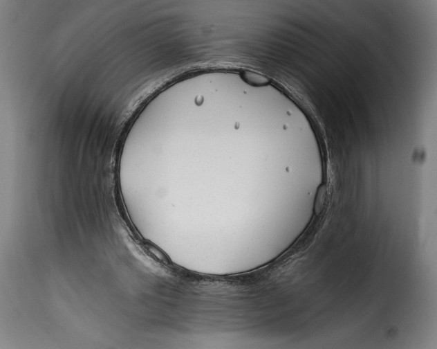 X0000115240389200911201625