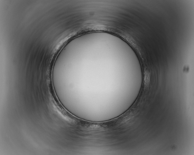 X0000115240390200911201625