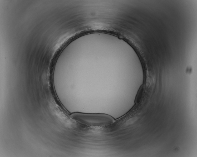 X0000115240391200911201625