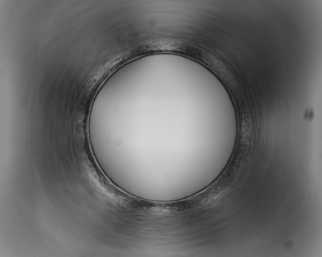 X0000115240394200911201625