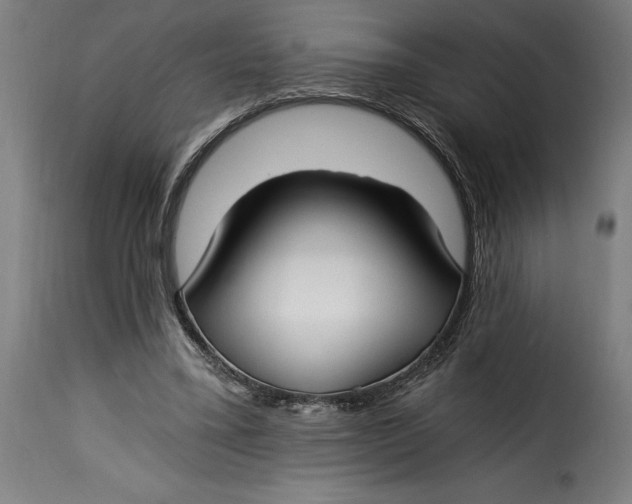 X0000115240395200911201625
