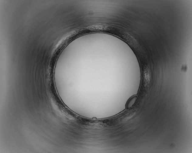 X0000115240396200911201625