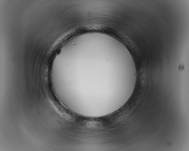 X0000115240400200911201625