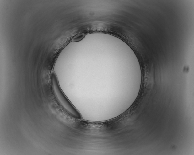 X0000115240401200911201625