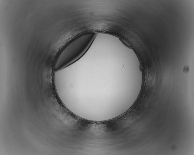 X0000115240403200911201625