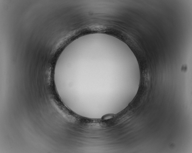 X0000115240404200911201625