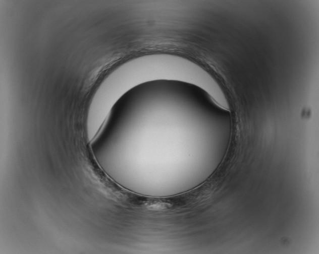 X0000115240407200911201625