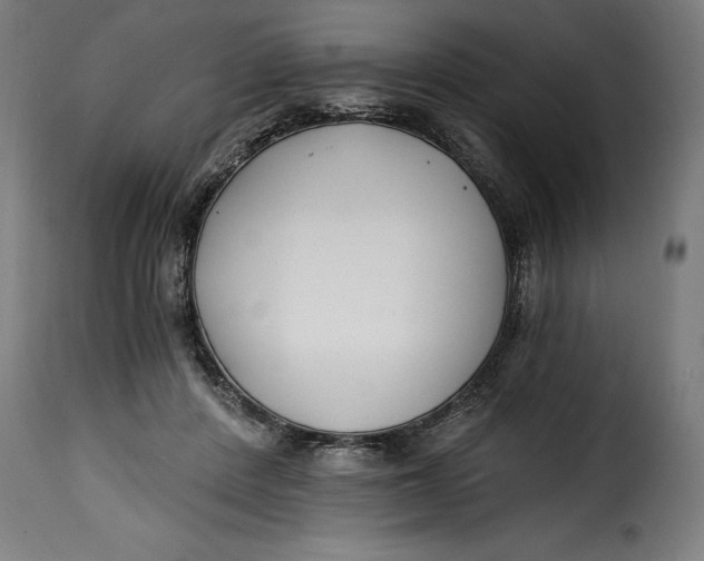 X0000115240408200911201624