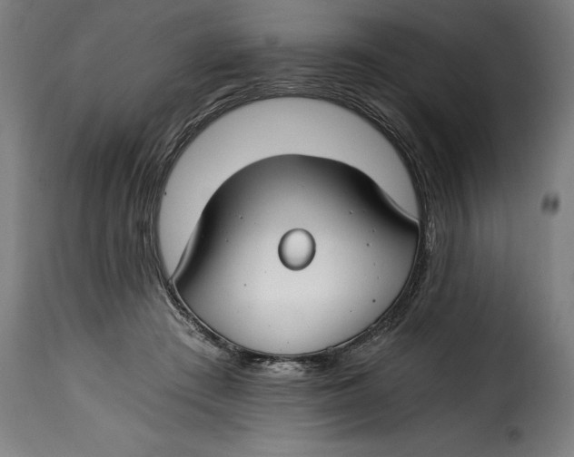X0000115240409200911201624