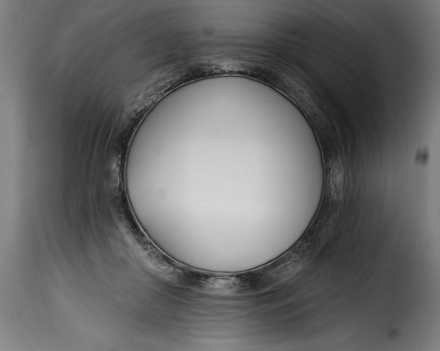 X0000115240410200911201624