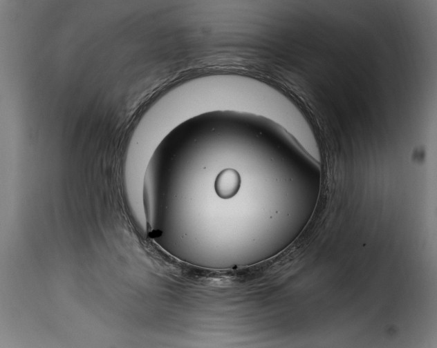 X0000115240411200911201624