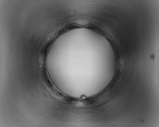 X0000115240412200911201624