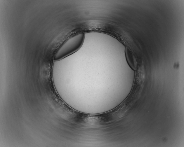 X0000115240413200911201624