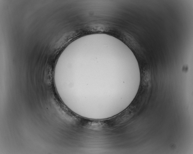 X0000115240414200911201624
