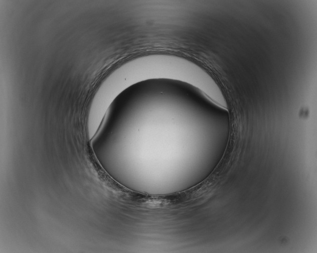 X0000115240415200911201624