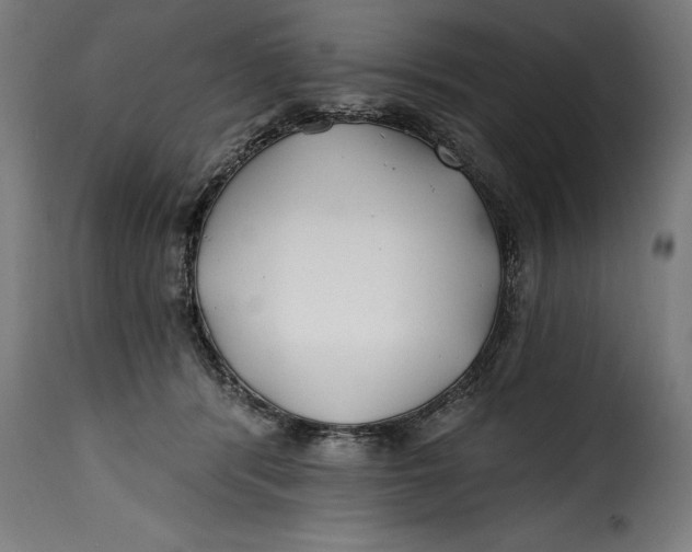 X0000115240416200911201624
