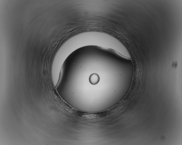 X0000115240417200911201624