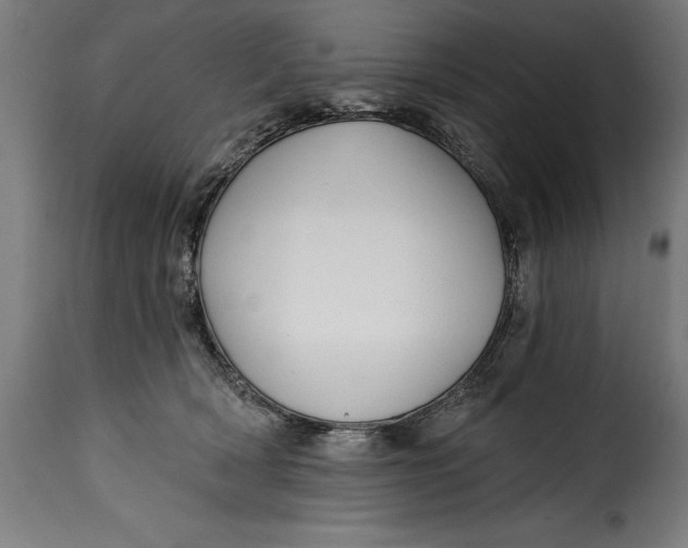 X0000115240418200911201624