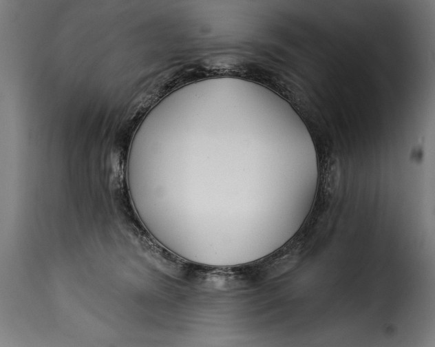 X0000115240420200911201624