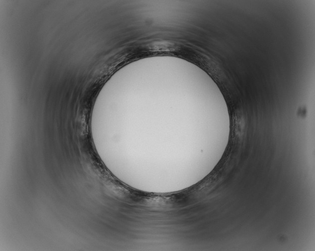 X0000115240422200911201624