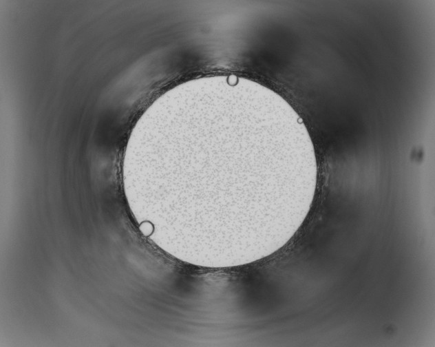 X0000115240423200911201624