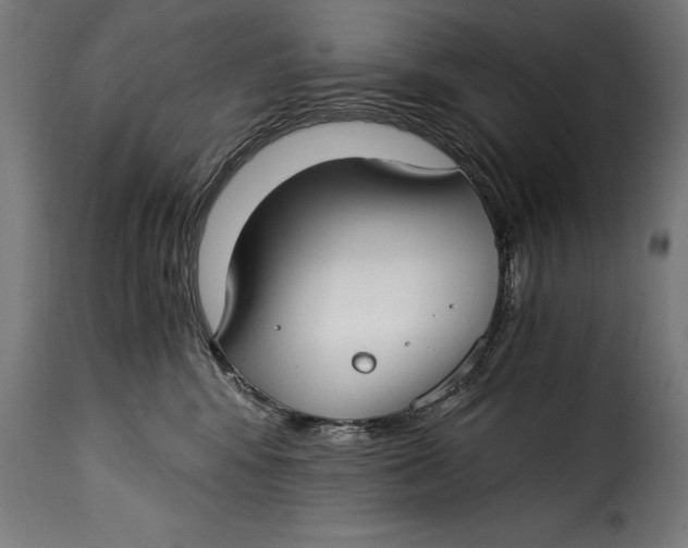 X0000115240424200911201624