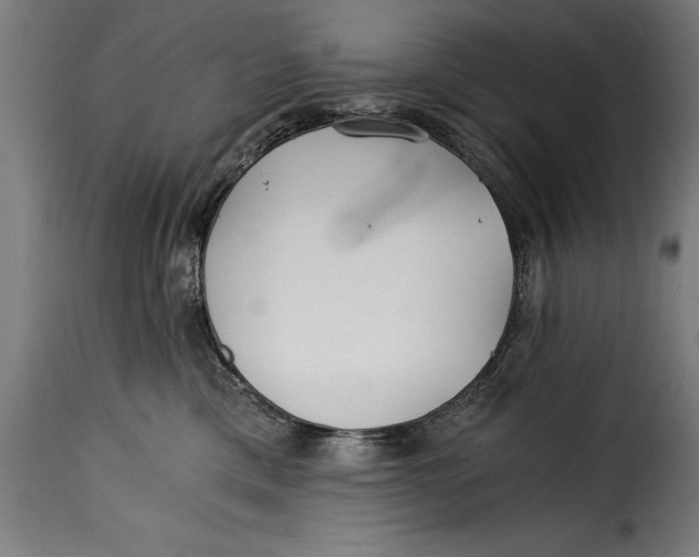 X0000115240425200911201624