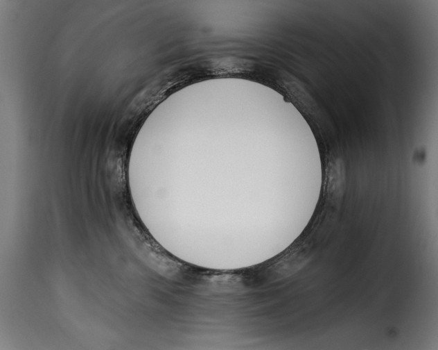 X0000115240426200911201624