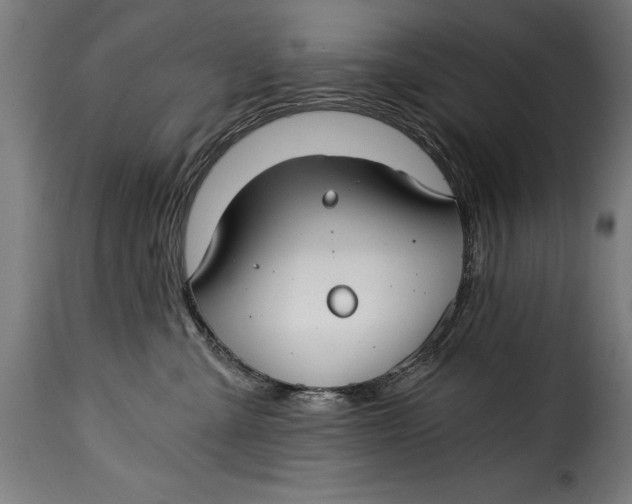 X0000115240427200911201624