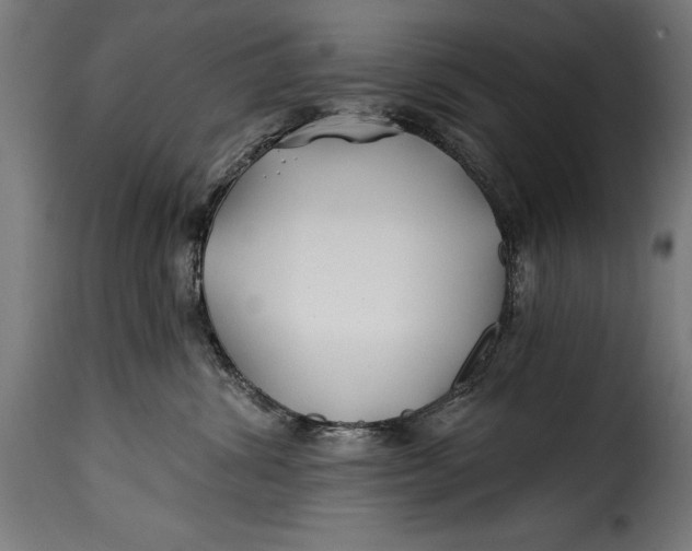 X0000115240428200911201624