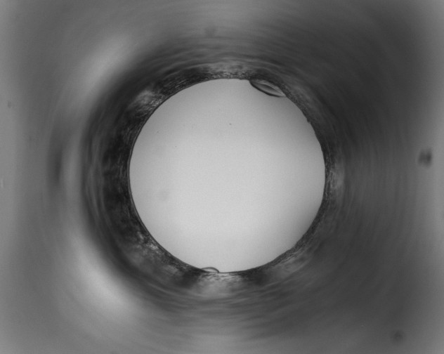 X0000115240429200911201624
