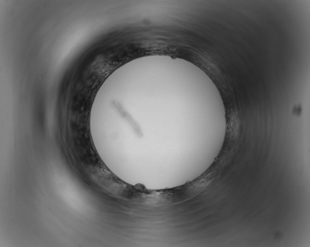 X0000115240430200911201624