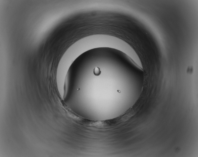 X0000115240431200911201624